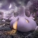 miriam solis cabañas - @mirissc - Twitter