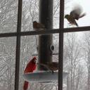 Anne Barr - @teacherannenh - Twitter