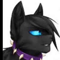 Knives  (@hazed_forever) 's Twitter Profile