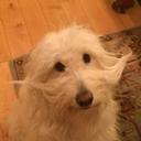 Bryan Fitzgerald - @FitzBryan - Twitter