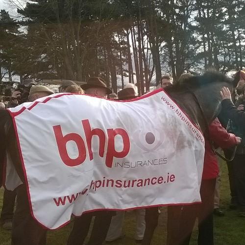 horse racing, meath, politics