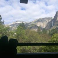 Jaci McCune (@jaci_mc) 's Twitter Profile