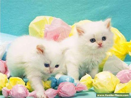 byzzdrgt's profile picture. 