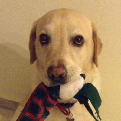 TipsSilver's profile picture. Retired mother