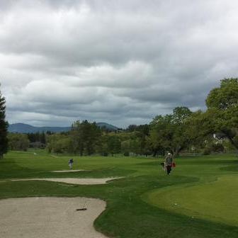 BVGolfShop's profile picture. 