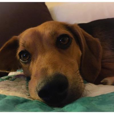 eleonoramas's profile picture. 