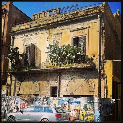 francescovitra5's profile picture. 