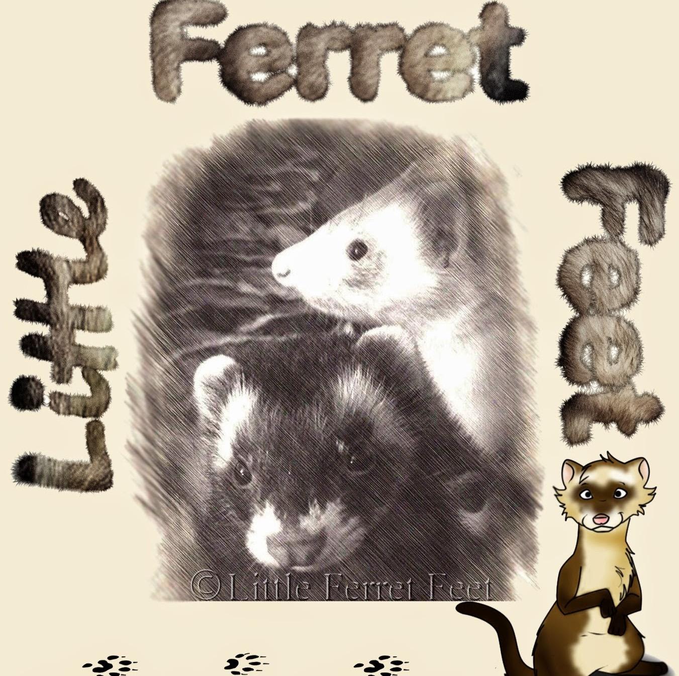 A place for ferret lovers to discuss ferrets and many ferret related topics. Also have some crochet & knit items available from time to time for yourself & pet.