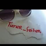 Dit is het TienerVriend account |  Feiten, Weetjes & Herkenbare dingen |  #TeamFollowBack | Contact: TienerVriend@hotmail.com | Volg me voor gekke tiener shit!