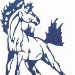 The Official Twitter account for Medway High School's Newswatch. Newswatch is a MHS club that teaches broadcast journalism, T.V. directing, reporting and more!