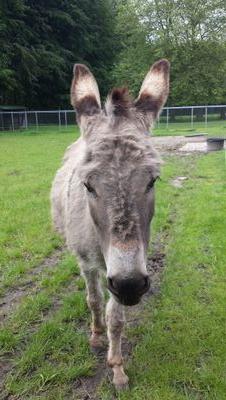 TeunWakker's profile picture. 