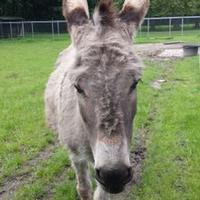 Teun Wakker (@teunwakker) 's Twitter Profile