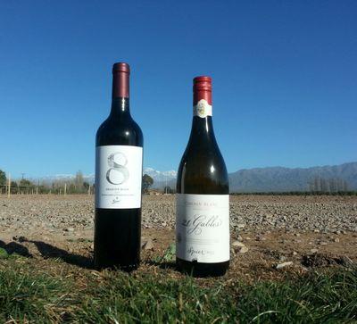 Senior Winemaker - Spier Wines, enjoy life and take note of the small things that makes it worthwile