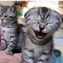 axel bryan aliaga  - @AliagaBryan - Twitter