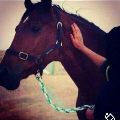 ‏‏المملكه العربيه السعوديه                              الخاص مفتوح