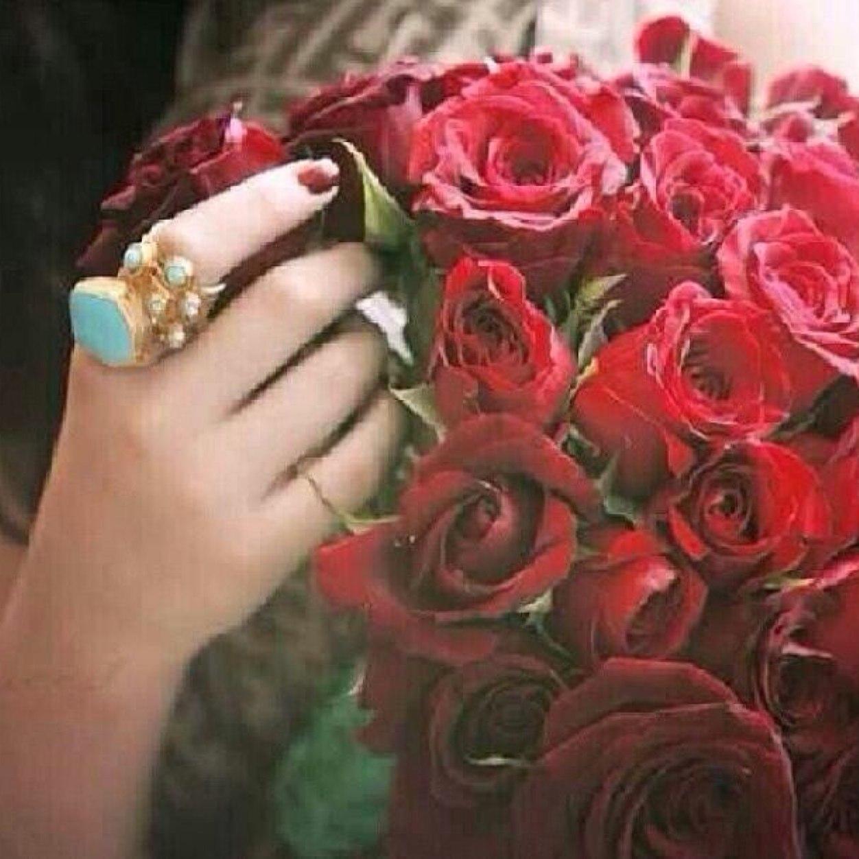 Haya239Haya's profile picture. إلى الجنّة يارب ، سق خطانا 
و اغفر لنا خطايانا..