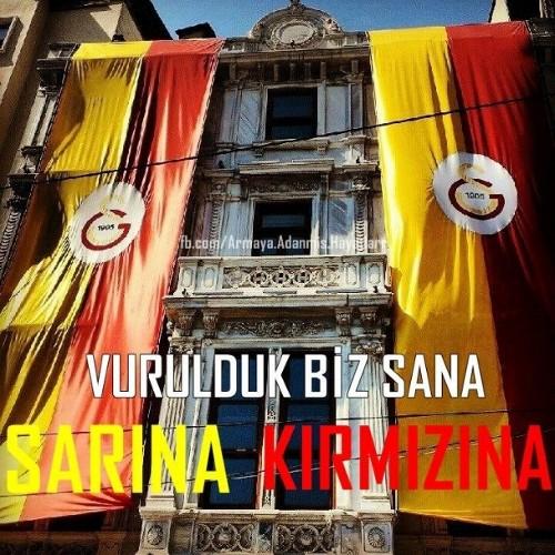 umutkr38's profile picture. 