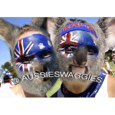aussieswaggies's profile picture. follow @aussieswaggies on Instagram