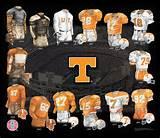 PostalBucky's profile picture. 