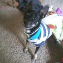 Suzanne Peck - @4everyourskitsy - Twitter