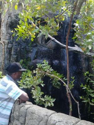 shoruswin16's profile picture. 