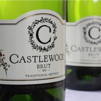 Castlewood (@castlewoodrob) 's Twitter Profile