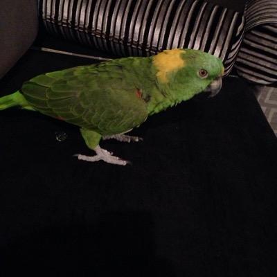 AAldosy's profile picture. اللّہُم إجعلنّـا في هذا اليوم مِمن :عفَوت عنہُم ،و رضَيت عنہُم ،و غفَرت لہُم ،و حَرمتہُم من النار ، و گتبتَ لہُم الجَنّه ♡”