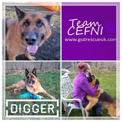 volunteer for Cefni gsd rescue http://t.co/rNrf7zb57C