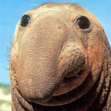 Pynkluu's profile picture. 