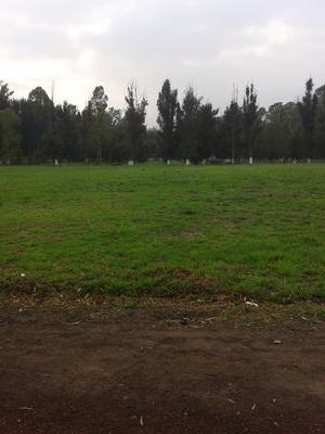 talitos1969's profile picture. 