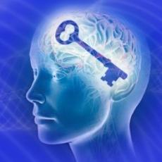 #FollowBack Hipnoterapia y asesoría para modificación de hábitos, control de peso, superación de adicciones y eliminación de fobias.