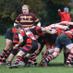 WokingRFC (@wokingrfc) Twitter profile photo WokingRFC (@wokingrfc) Twitter profile photo