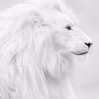 efos_west's profile picture. A talented song writter,and musician,hip hop,reggae dance hall,R n B..