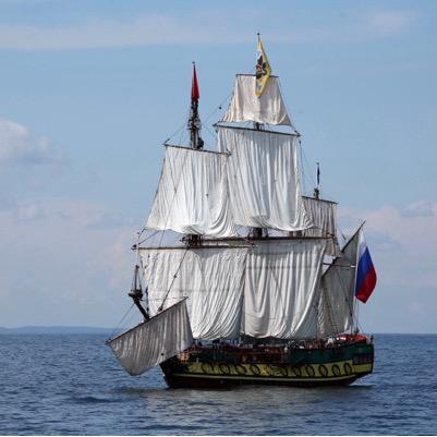 BirdTonybird1's profile picture. Chair Denevalley Community Partnership and Transport Supporting vulnerable members of our community