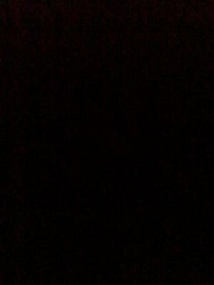 lololol86i's profile picture. lol