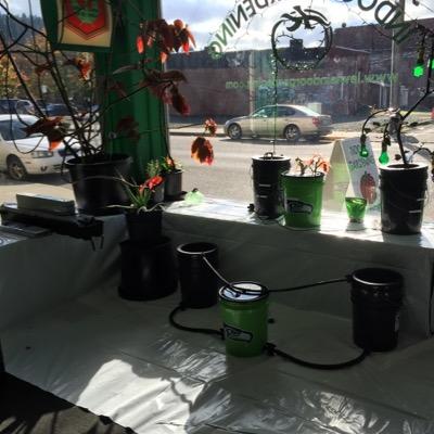 Come on in to Dr. Grassman's Hydro Supply we got all the products to make you a master grower