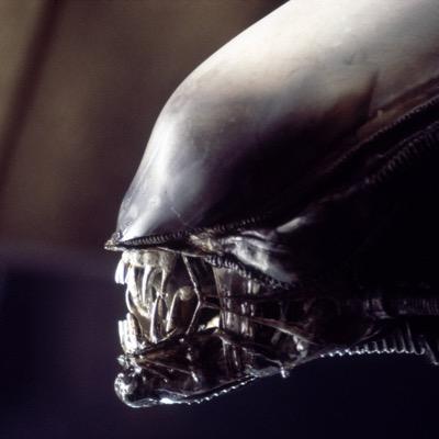 I'm a 15 year old gamer who mainly plays Stealth games but i'm also an avid Counter Strike Global Offensive player. I'm a huge fan of the Alien movies.