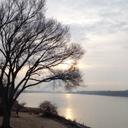 Diane Floyd - @FloydDiane - Twitter