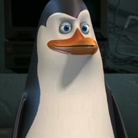 Bestätigter Pinguin: Anton Caravatti 🪣 (@caravattia) 's Twitter Profile Photo