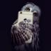 shadowplay (@seeandsalt) Twitter profile photo