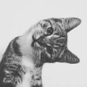 Fatima Hodzic  - @LOVE46806 - Twitter