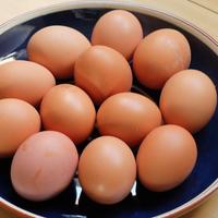 Olivera (@eggsfont) 's Twitter Profile