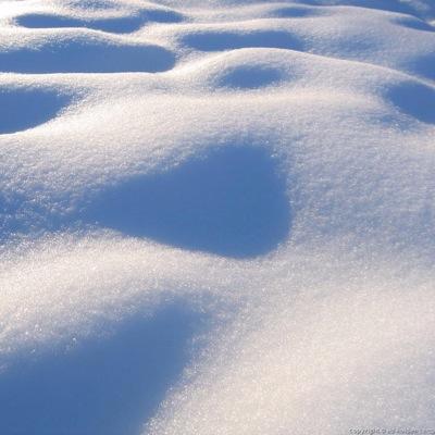 d5fodor's profile picture. That white shit that makes schools weeks shorter and you happier