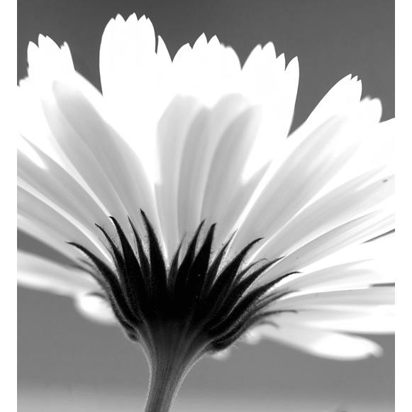 cmgyahoo's profile picture. 