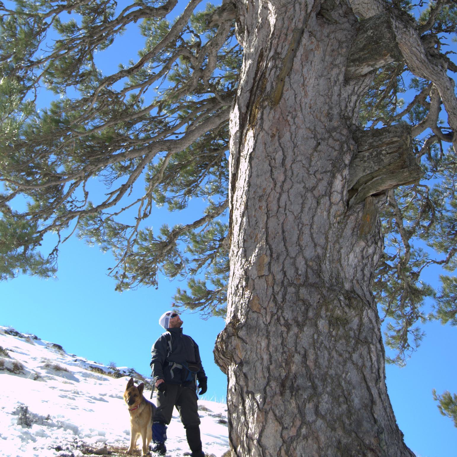 Fco.J.Lucas.S. Profile