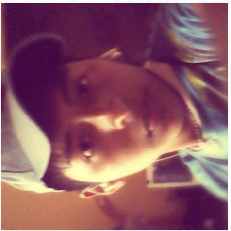 Pinkinzhito's profile picture. 