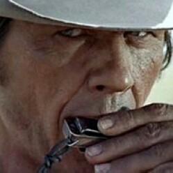 GorillaTao's profile picture. 