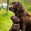 Amanda Volney - @A_volney - Twitter