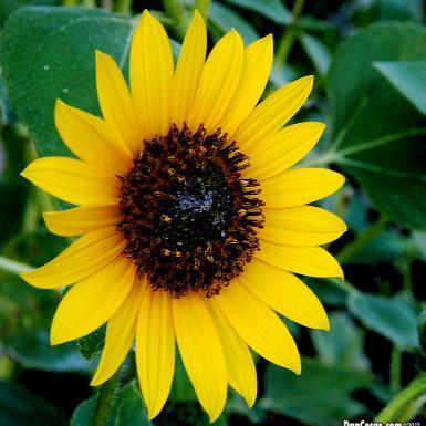 EdenFairfax's profile picture. Other people and things can stop you temporarily. You're the only one who can do it permanently.-Zig Ziglar