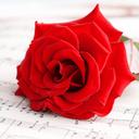 Marcella Robinson - @RedroseRobinson - Twitter